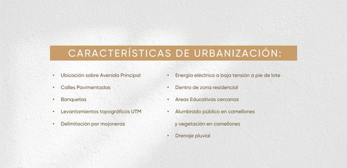 Imagen 14 de 16 de Terreno En Venta En Cholul