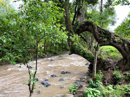 Terreno Con Rio En Tilostoc (cercado)