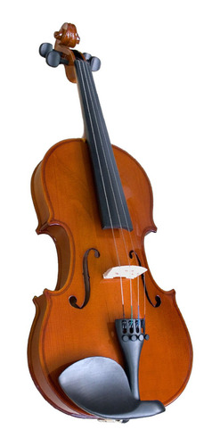 Violin Valencia V160