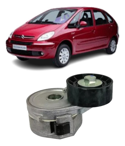 Tensor Poly V Citroen Xsara Picasso Año 2001 A 2014  2.0 Hdi