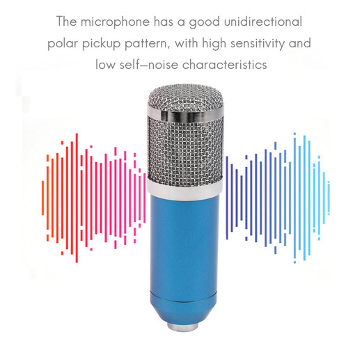 A Kit Profesional De Micrófono De Condensador Cardioide Con