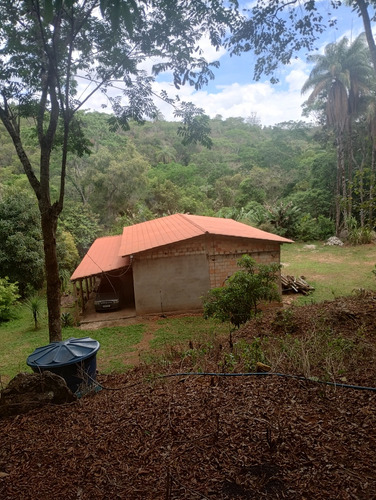 Sitio Muita Água E Luz.