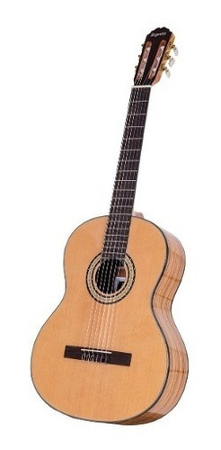 Guitarra Clasica Segovia Medio Concierto E170n