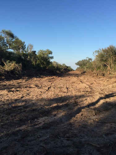 Campo Ganadero De 875 Has. Alambrado A 24 Kms De Castelli