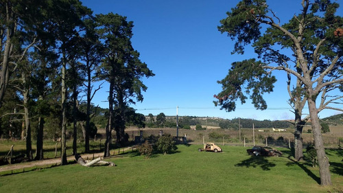 Campo En Venta Provincia De Buenos Aires Ruta 226