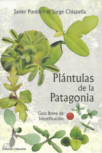 Plantulas De La Patagonia - Puntieri, Chiapella