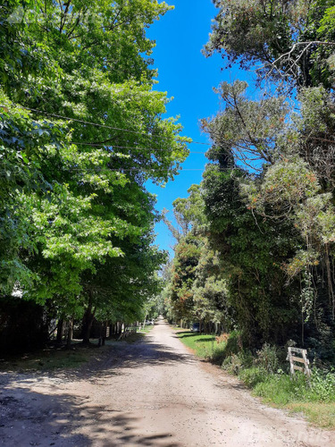 Terreno En Bosque Peralta Ramos