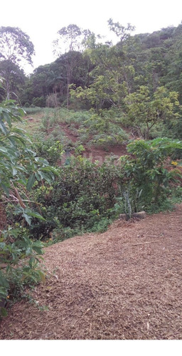 Imagem 19 de 30 de Chácara Rural A Venda Em Ilhota/sc - 1684c