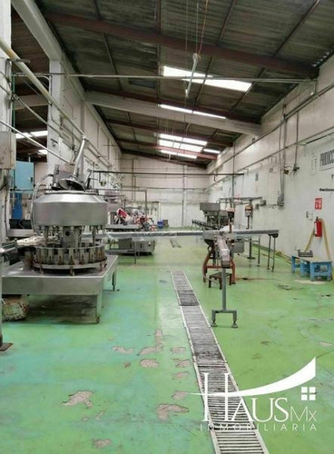 Imagen 2 de 10 de Bodega En Renta Con Uso De Suelo Industrial