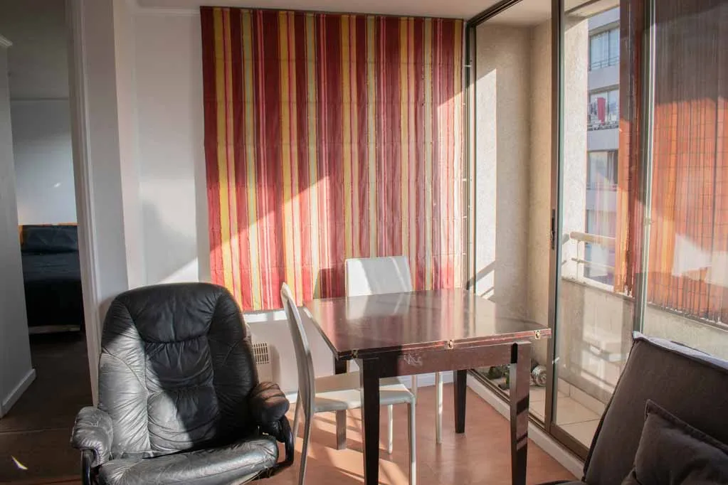 Imagen 3 de 29 de Arriendo Depto Amoblado 2d (grandes)+ 2b Santiago (2331)