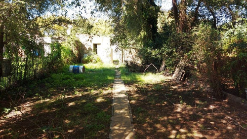 Casa Centrica En Alquiler Y/o Venta En #trenquelauquen