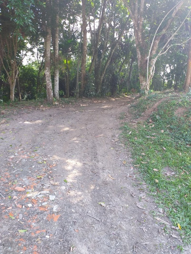 Imagem 2 de 11 de Chácara Para Venda Ou Locação Em Mogi Das Cruzes (sabaúna)