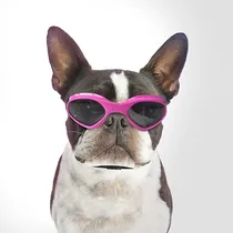 Comprar Gafas Para Mascotas, Gafas Uv Para Perros, Gafas De Sol A Pr