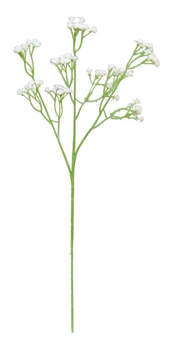 Sementes Gypsophla Elegans Mosquitinho Branco