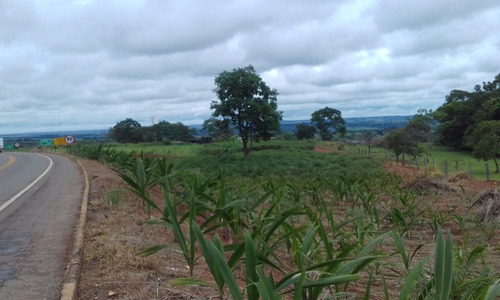 Imagem 8 de 8 de Terreno Para Posto Gasolina Ou Lanchonete