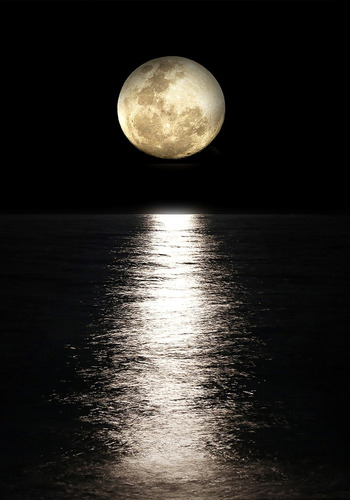 Fundo Fotográfico Tecido Reflexo Da Lua 1,60m X 2,40m