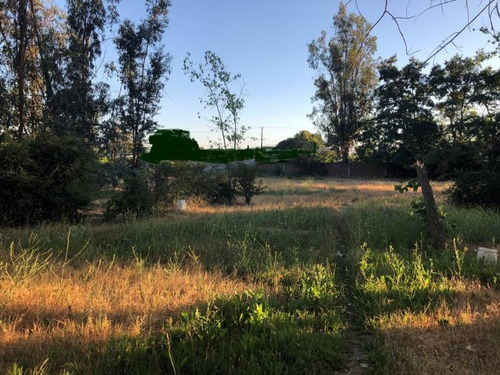 Imagen 17 de 19 de Balmaceda Con El Oliveto