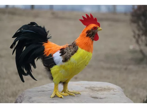 Modelo De Galo Realista Realista Jogo De De Animais Escultura De Fazenda  Engraçada Decoração De Aves Para Gramado Estatueta De Galo Arte Do Galo