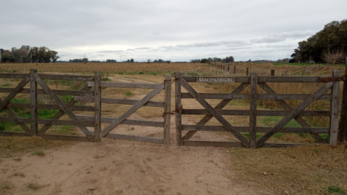 Venta Campo Agrícola 70 Has Lobos, Pcia. De Buenos Aires - A 2 Km Del Pueblo