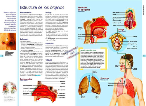Libro Atlas Del Cuerpo Humano Con Cd Y Lentes 3d