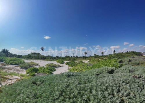 Oportunidad!!se Vende Terreno Frente Al Mar Mahahual-rio Indio P1200