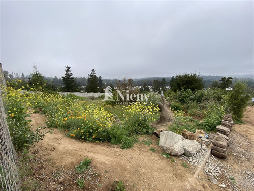 Venta Terreno Construcción Viña Del Mar Los Pinos