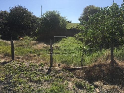 Imagem 3 de 3 de Terreno - Zona Sul - Ref: 29711 - V-29709