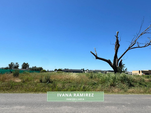 Se Vende Lote Listo Para Escriturar - Los Álamos, Luján