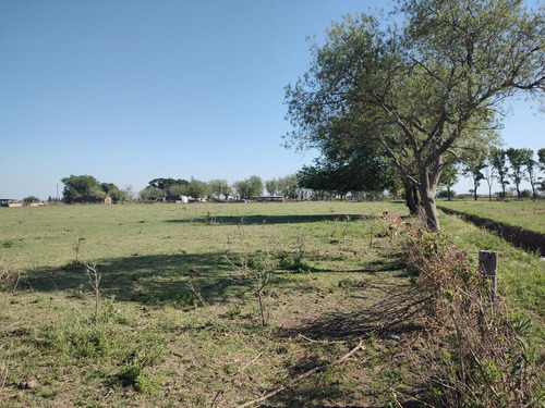 Imagen 10 de 17 de Campo - Timbues Jose Maria
