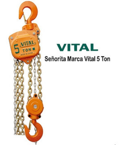 Señoritas De Cadena Vital 5 Toneladas