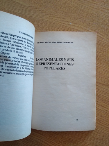 El Poder Mental. Los Símbolos Secretos (Usado)