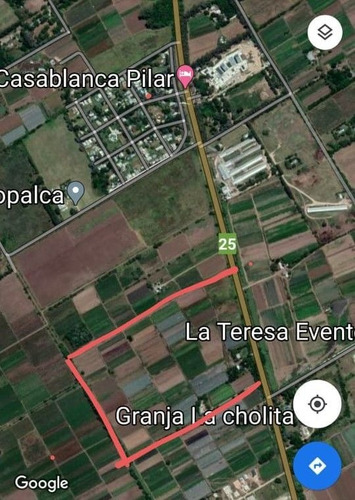 Imagen 2 de 3 de Venta Campo 170.000m2 En Villa Astolfi, Pilar