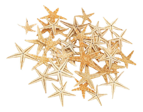 Decoración De Estrella De Mar Natural Para 2-3cm 50 Piezas