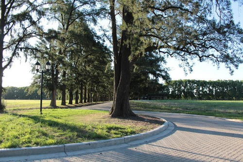 Imagen 14 de 19 de Rp 21 Km 25 - Azahares Del Parana