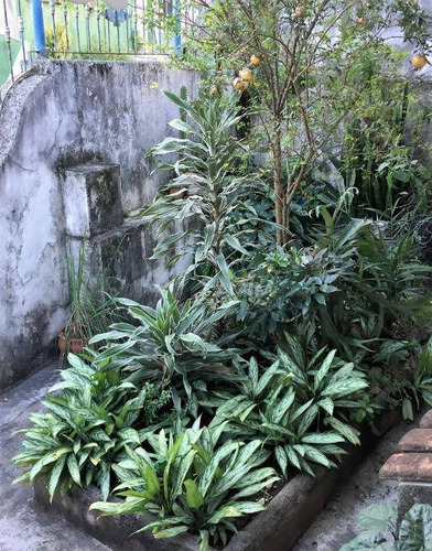 Imagem 1 de 28 de Casa Residencial Na Melhor Localização Em Travessa Fechada À Venda, 10 Vagas. Fonseca, Niterói. - Ca0155