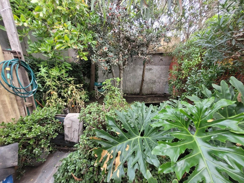 Imagen 9 de 11 de Casa Con Parque