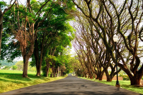 Terreno No Condomínio Alto Padrão Fazenda Serra Azul