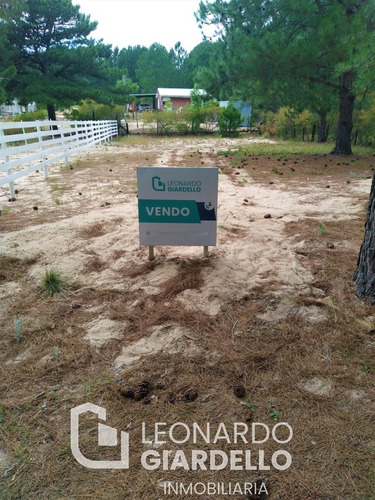 Balneario Zagarzazu   Terreno - Lote - Solar