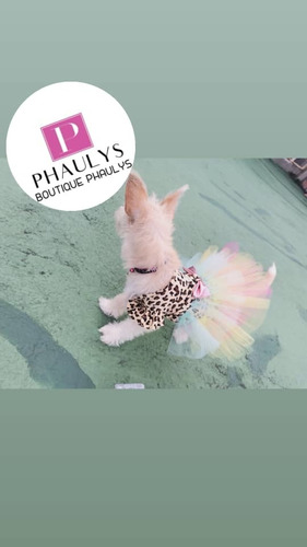 Ropa Para Mascotas Perros Y Gatos