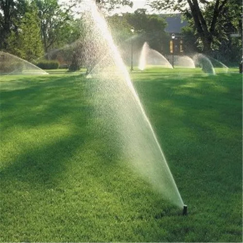Aspersor Desplegable Rain Bird 1/2 Sprinkler Drive, 5 Unidad