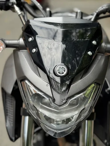 Fz 250
