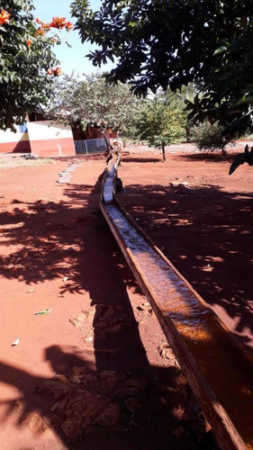 Imagem 5 de 10 de Fazenda Dupla Aptidão Município Quirinopolis