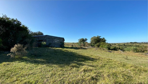 Imagen 27 de 30 de Se Vende Campo De 77 Has En Maldonado. A Pocos Km De Aiguá En Zona De Ruta 39. Ubicación Privilegiada!