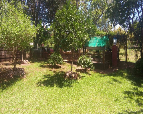 Imagem 13 de 30 de Casa - Ca01893 - 4444537