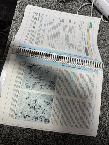 Histologia Ross 8 (Usado)