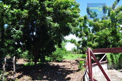 Imagem 5 de 7 de Chácara Residencial À Venda, Centro, Aquiraz. - Codigo: Ch0001 - Ch0001