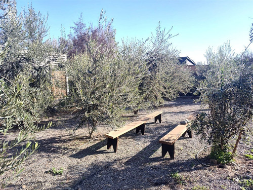 Casa En Arriendo De 3 Dorm. En Colina