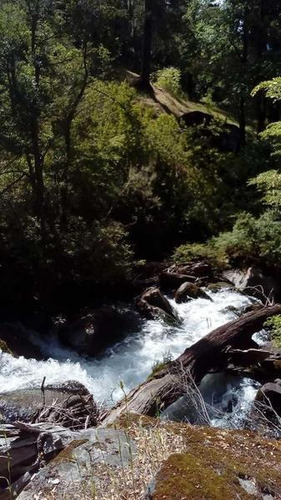Imagen 17 de 28 de Grupo Patagonia Vende 4.2 Hectáreas (todos Los Servicios Instalados Y Costa De Arroyo). Sobre Camino A Valle Escondido -club De Campo-, San Martín De Los Andes, Patagonia Argentina