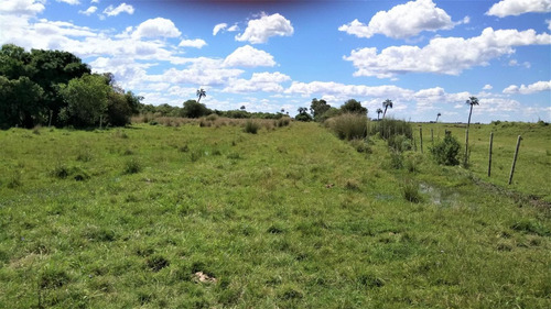 Campo Ganadero En San Luis, Rocha