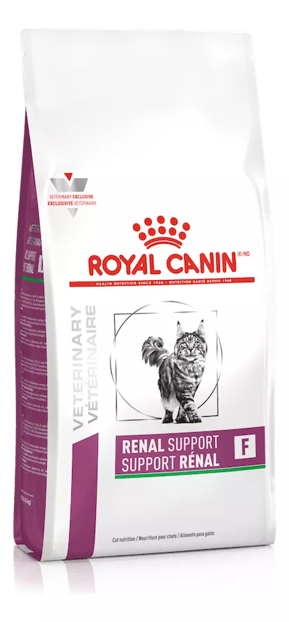 Tercera imagen para búsqueda de royal canin gatos